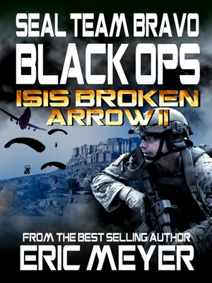 cover image of SEAL Team Bravo